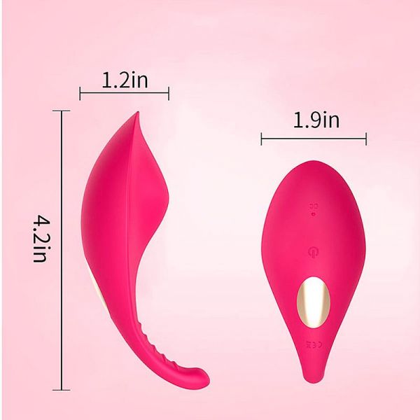 Vibrador de calcinha - À Longa distância - App